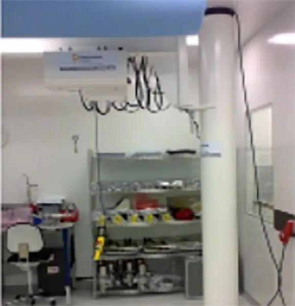 Pillar & Wall mounted jib cranes