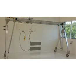 Portable gantry cranes