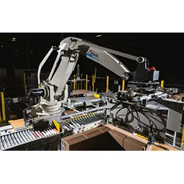 Performance Robotic Palletizer
