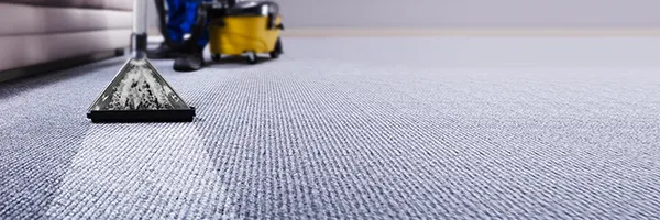 CARPET CLEANING