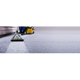 CARPET CLEANING