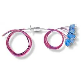 Insulated wire feedthrough