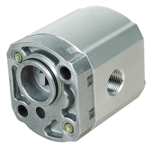 Hydraulic Gear Pumps W300