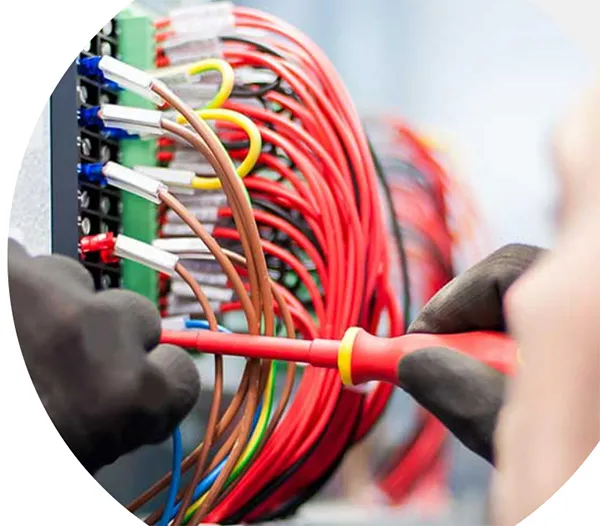 Wiring and Cable Harness Assembly