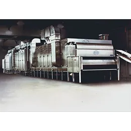 MULTI-STAGE CONVEYOR DRYER-COOLER