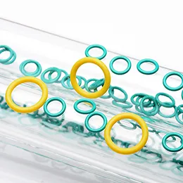 Gaskets O-Ring seals