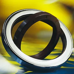 Gaskets Rotary shaft seals