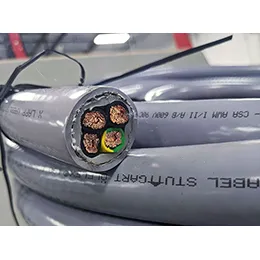 Custom ruggedized cable