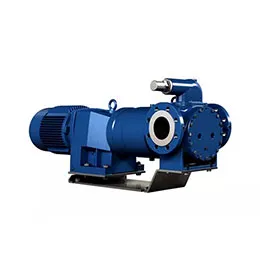 ROTAN ED Internal Gear Pump