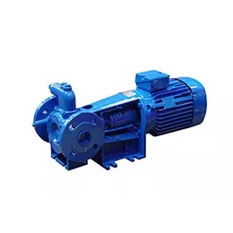 ROTAN GP Internal Gear Pump