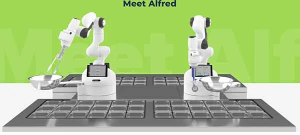 Meet Alfred
