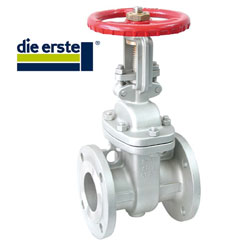 Stainless Steel Flanged Gate Valves
