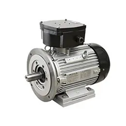ATB Flameproof Motors