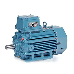 Low voltage flameproof motors