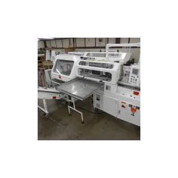 Servo counter & bagger systems