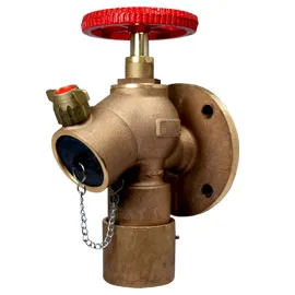 Fire Hydrant Valves