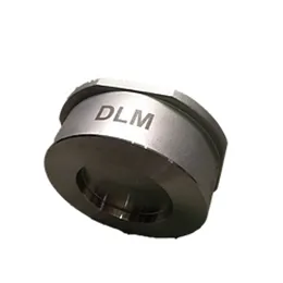 Disc Check Valve