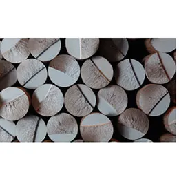 80-55-06 Ductile Iron