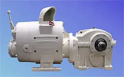Pneumatic motors