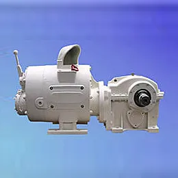 Pneumatic motors