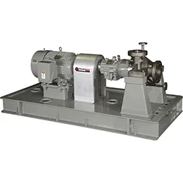 API 610 Horizontal Process Pump OH2 Model PWH