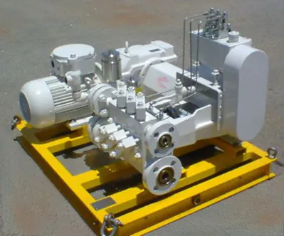 Piston &amp; Plunger Pumps API 674