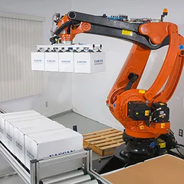 Robotics & Vision Systems