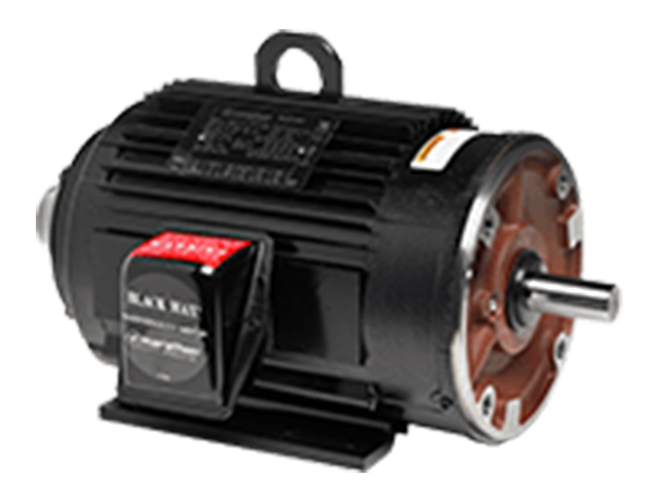 BlackMAX inverter duty motors