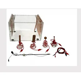 Electric Fields Study Set