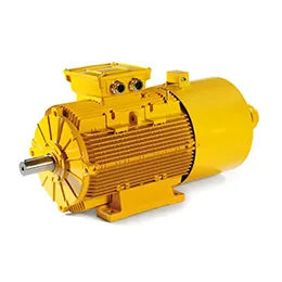 SQUIRREL CAGE THREE-PHASE ASYNCHRONOUS MOTORS FOR MARINE APPLICATIONS