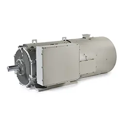 SQUIRREL CAGE THREE-PHASE ASYNCHRONOUS MOTORS
