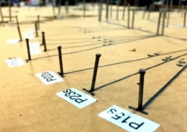 Wire Harness Assembly