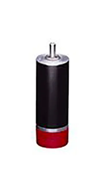RPX22 Brushless DC Motor