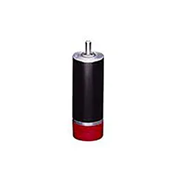 RPX22 Brushless DC Motor
