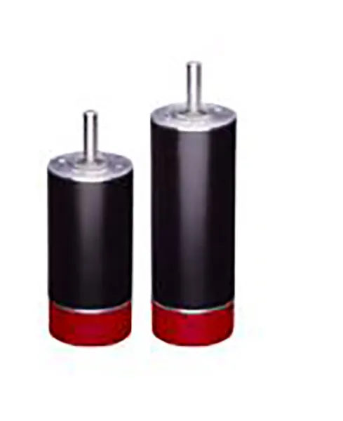 RPX32 Brushless DC Motor