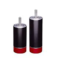 RPX32 Brushless DC Motor