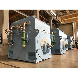 High Voltage Asynchronous Motors