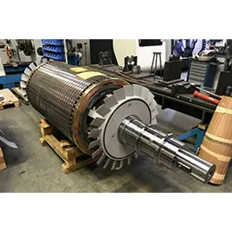 Squirrel-Cage Rotor (Cage Rotor)