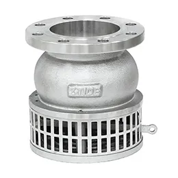 Foot Valves