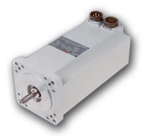 SF-Series Motors Food Grade White Epoxy Painted