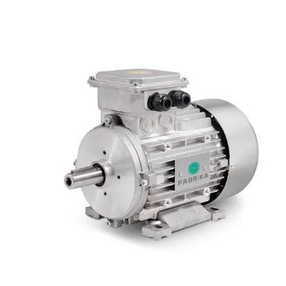 ATEX electric motors
