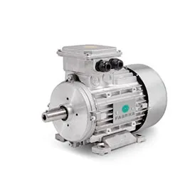 ATEX electric motors