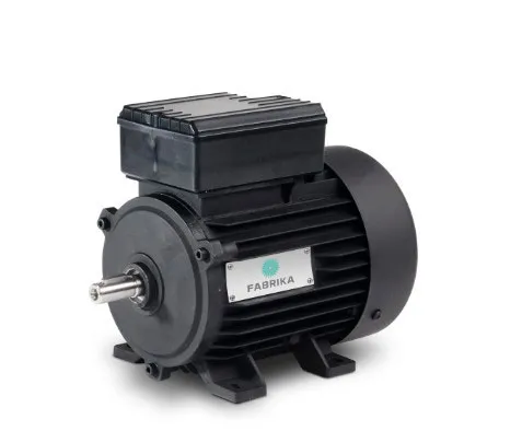 Single-phase electric motors
