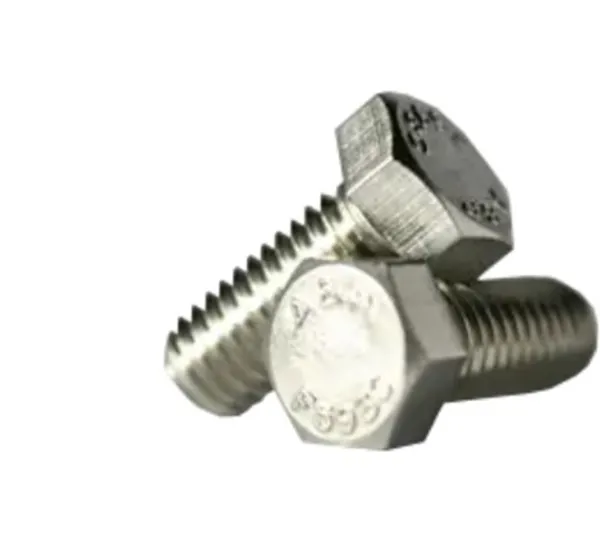 Hex Head Cap Screw 1-4-20-1-2 304