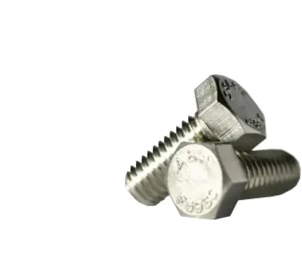 Hex Head Cap Screw 1-4-20-5-8 304