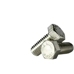 Hex Head Cap Screw 1-4-20-5-8 304