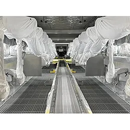 Process Conveyors