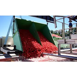 TOMATO PROCESSING