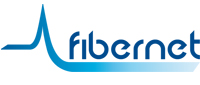 fiber optics inspection microscope