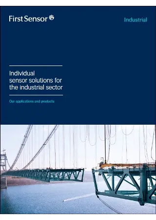 Industrial Sector